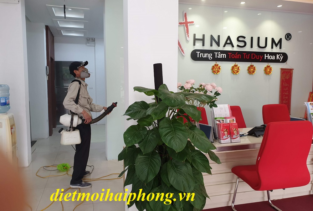 Diệt gián tại phường Lưu Kiếm Hải Phòng 